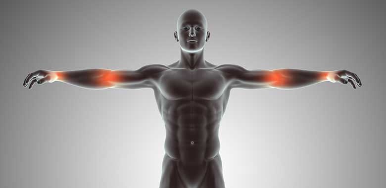 Üst Ekstremite El ve Mikrocerrahi